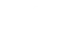 Vivo Dental
